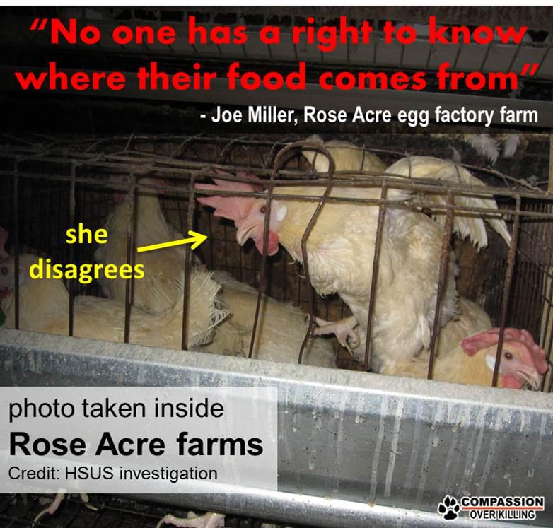 chicken ag-gag law censor torture