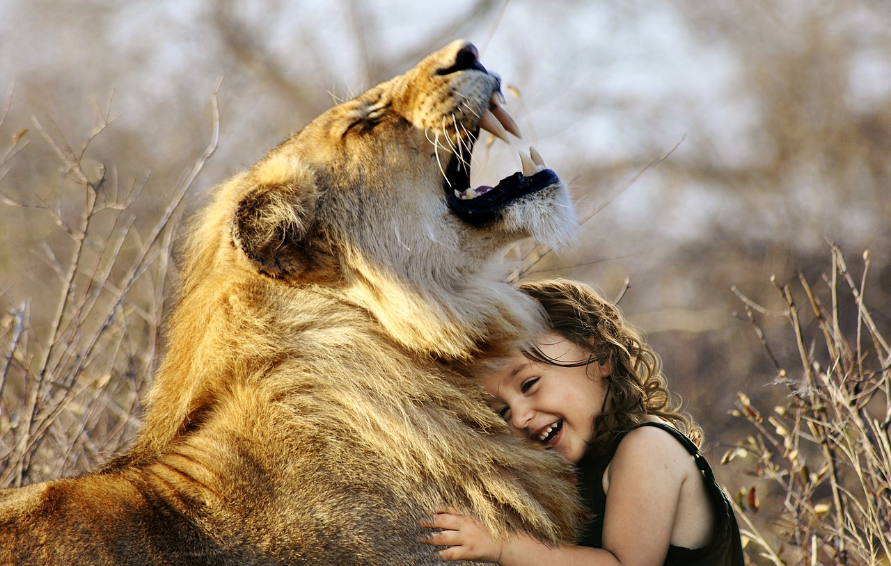carnivore's brain size